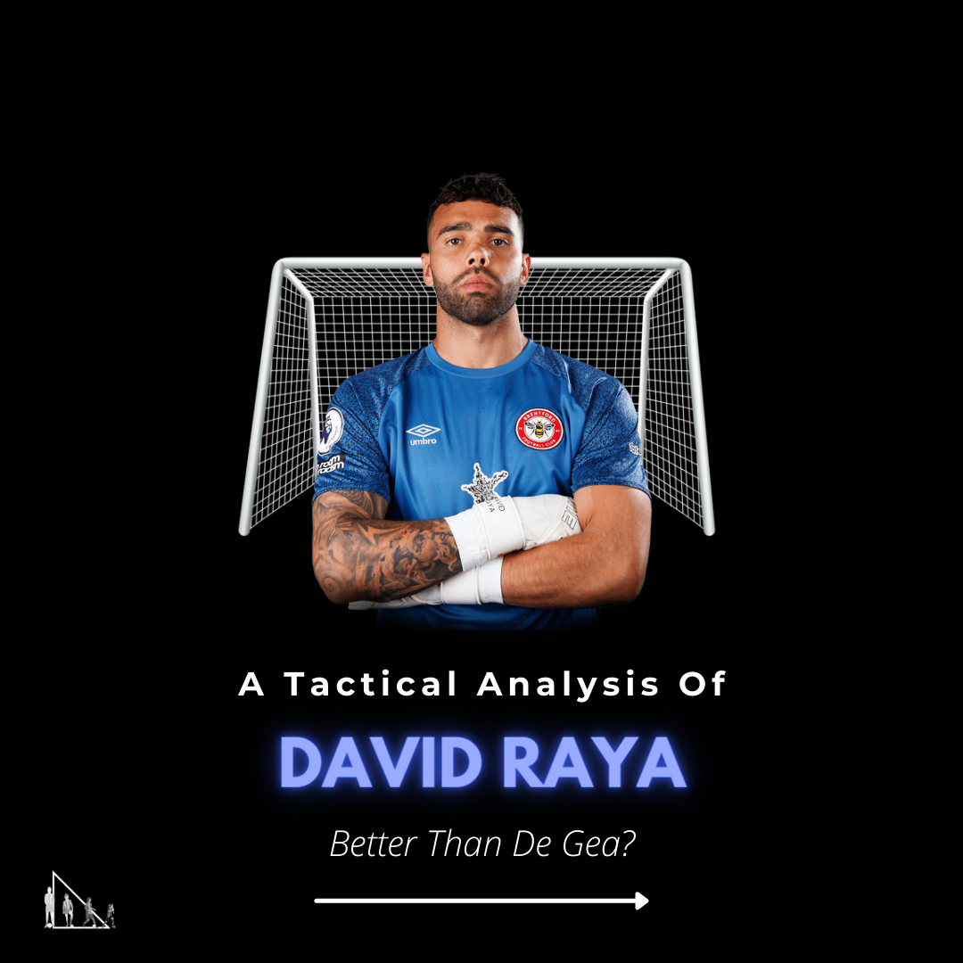David Raya Analysis